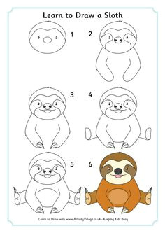 we use this cute sloth for our rainforest habitat unit learn how to draw this