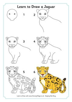 use this jaguar directed draw with our rainforest habitat unit cute drawings animal drawings