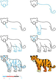 draw animals step by step awesome always handy skill to be able to draw
