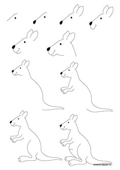 how to draw a kangaroo drawing lessons drawing tips art lessons drawing for