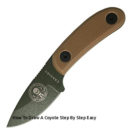 how to draw a coyote step by step easy amazon esee candiru od green with coyote