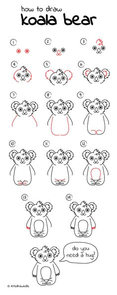 how to draw koala bear easy drawing step by step perfect for kids