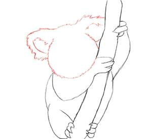 how to draw koala tutorials bing images