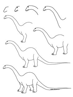 how to draw a dinosaur step by step learn how to draw a diplodocus with simple step by step instructions
