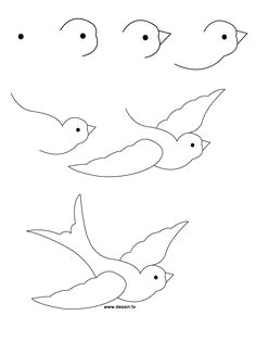how to draw a bird step by step easy
