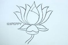 how to draw a lotus