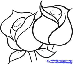 flower sketches easy flowers to draw for beginners step by step