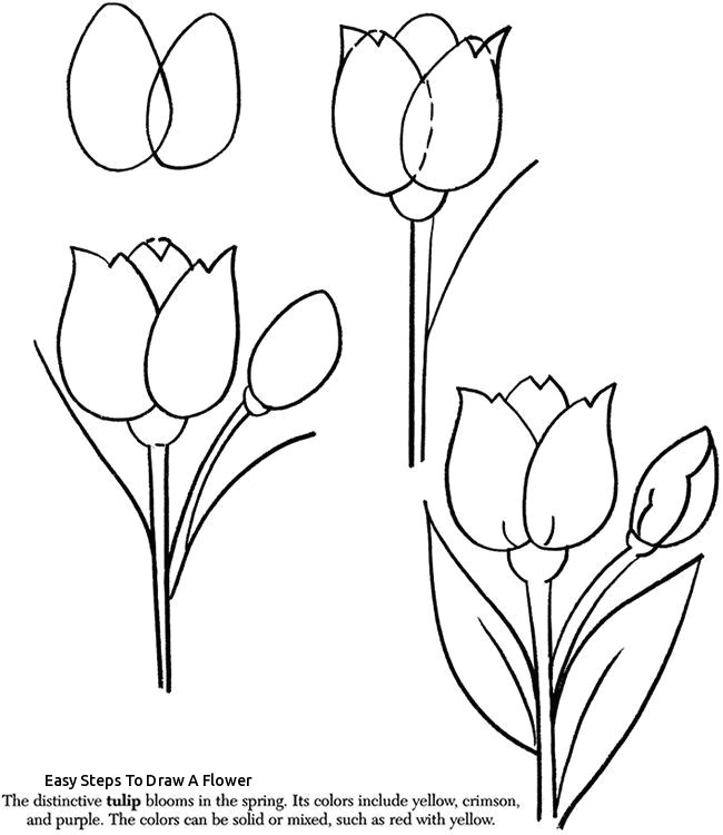 easy steps to draw a flower rose flower drawing step step at getdrawings of easy steps