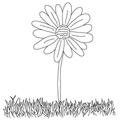 how to draw daisies and other flowers with simple step by want to learn how to