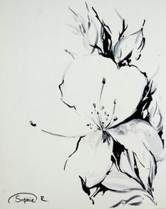 jasmine flower original drawing black and white art by canotstop 38 00 jasmine tattoo jasmine