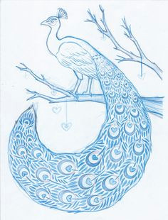 pencil drawings of peacocks peacock drawin