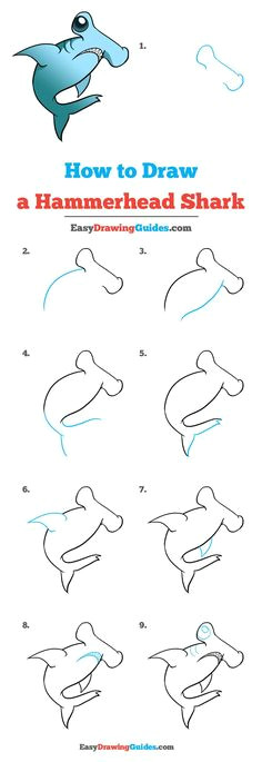 how to draw a hammerhead shark easy drawing guides