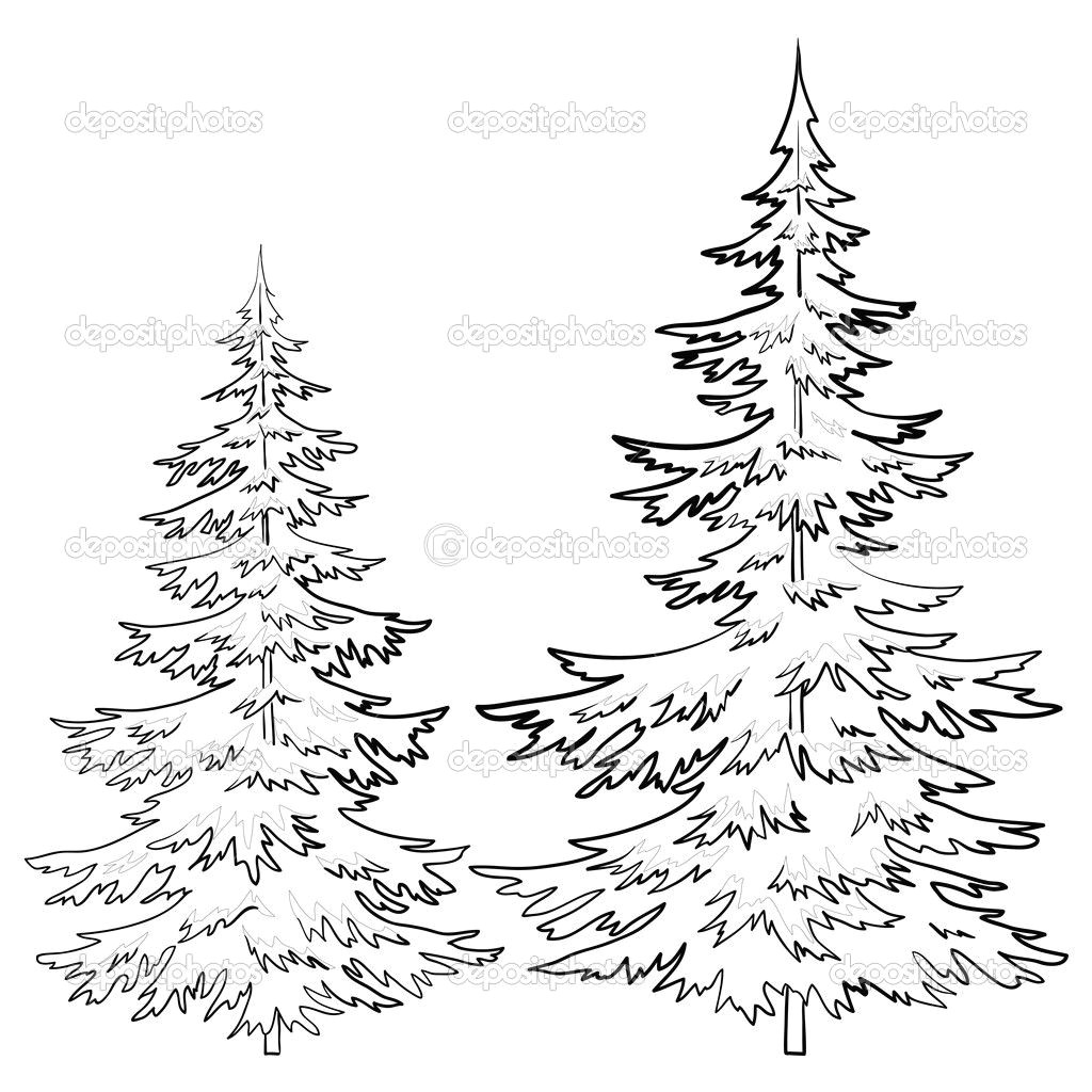 pine tree drawings black and white