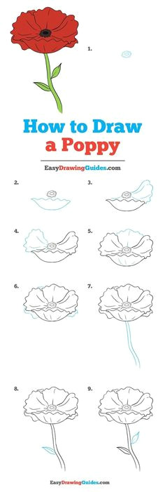 how to draw a poppy really easy drawing tutorial