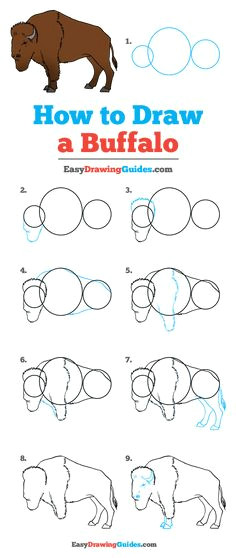 how to draw a buffalo really easy drawing tutorial