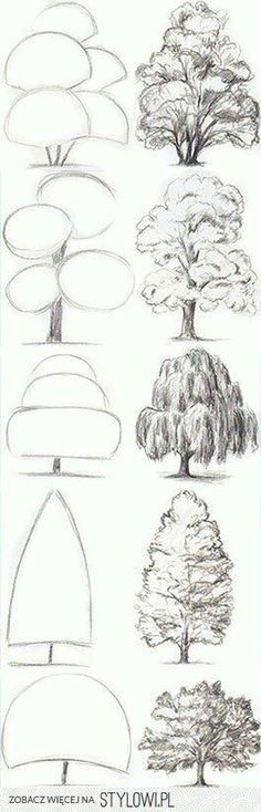 fa lla w gt pinterest a aegasvoda drawing trees tree drawing simple drawings of trees