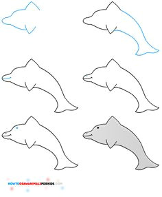 how to draw a dolphin for kids jpg 640