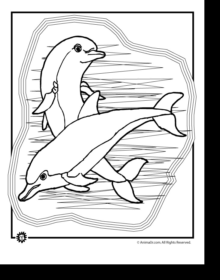 learn how to draw a dolphin with this simple easy and fun and step by step tutorial that kids and the whole family will enjoy create a beautiful drawing