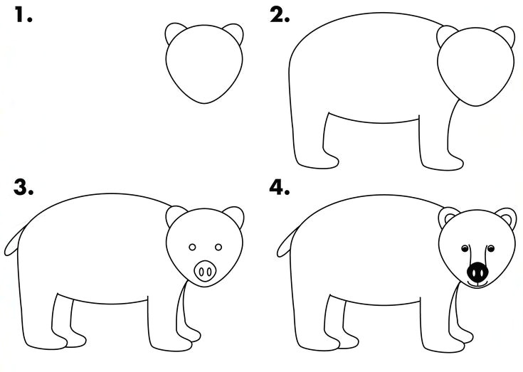 how to draw a black bear for kids draw bear wildlife center ideas drawings drawing for kids easy drawings