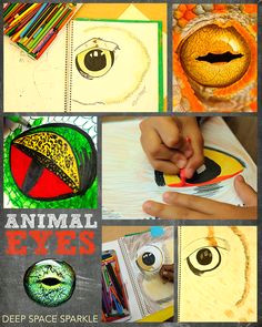 close up animal eyes art project for kids middle school art projects high school