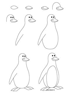 steps to draw a parrot learn how to draw a penguin with simple step by