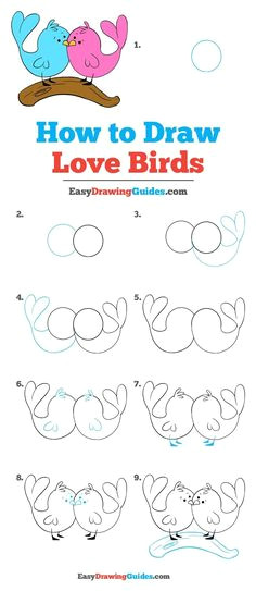 how to draw love birds really easy drawing tutorial