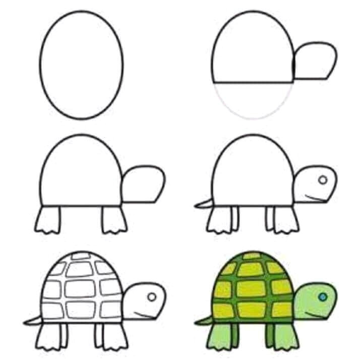 how to draw turtle easy turtle drawing easy animal drawings easy drawings