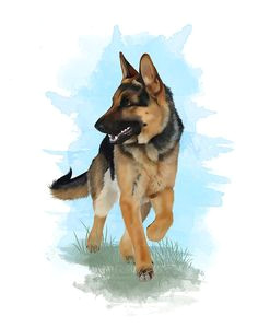 german shepherd trot by shelleyvphoto on deviantart tattoo perro german shepherd puppies german