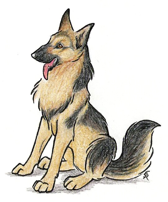 happy german shepherd by wildspiritwolf on deviantart