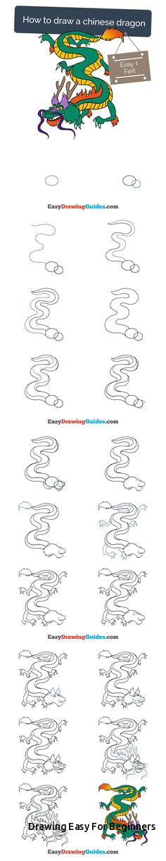 drawing easy for beginners how to draw a cartoon spider in a few easy steps of