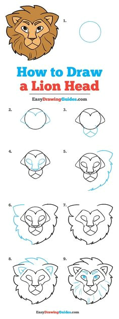 how to draw a lion head really easy drawing tutorial