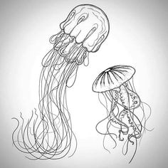 how to draw a simple jellyfish jellyfish drawing ocean drawing jellyfish painting jellyfish