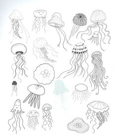 draw a jellyfish the most complete drawing course http the