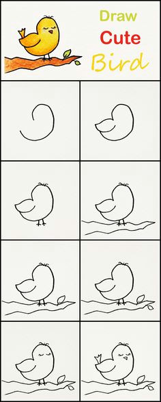 how to draw a cute bird step by step art for kids