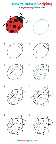 how to draw a ladybug really easy drawing tutorial
