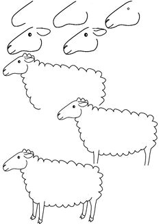 sheep drawing