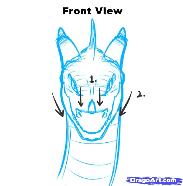 dragon head drawing front how to draw dragon heads step by step dragons draw a