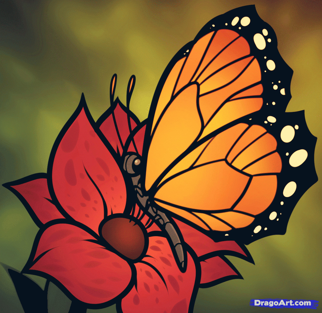 how to draw a butterfly on a flower butterfly and flower step by step butterflies animals free online drawing tutorial added by dawn july 29 2012