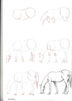 how to draw horses horse heaven by constance