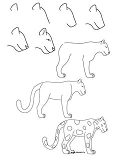 how to draw simple learn how to draw a jaguar with simple step by step