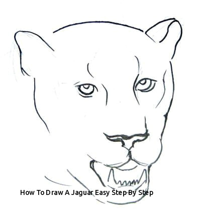 how to draw a jaguar easy step by step step by step panther face drawing drawing