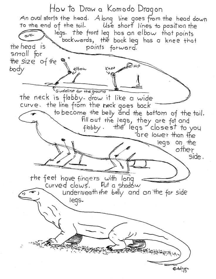 how to draw a komodo dragon worksheet see the blog for projects notes http