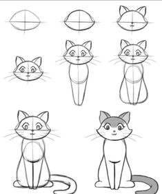 how to draw easy animals step by step image guide