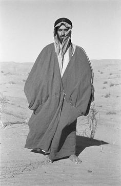 sheikh zayed bin sultan al nahyan