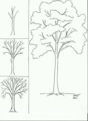 draw tree drawing techniques drawing lessons art lessons pencil drawings art drawings