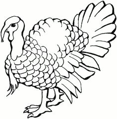 turkey free printable coloring pages turkey coloring pages thanksgiving coloring pages cool coloring