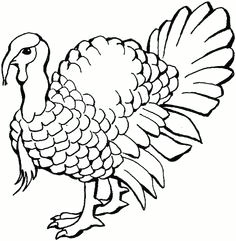 Easy Drawings Of Turkeys 34 Best Turkey Images Coloring Pages Colouring Pages Printable