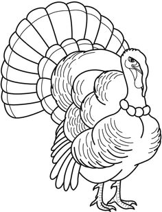 wild turkey with the feathers overlap coloring pages