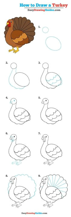 how to draw a turkey really easy drawing tutorial