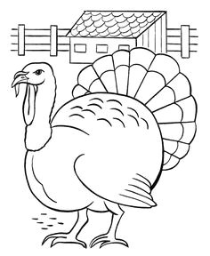 these free printable turkey coloring pages of birds pictures and sheets are fun for kids